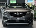 Daumennagel 2 - Opel Grandland Ultimate Plug-in-Hybrid 4 AHK|SHZ|180°I|ALLRAD|CARPLAY|SPUR|NAVI