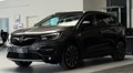 Daumennagel 3 - Opel Grandland Ultimate Plug-in-Hybrid 4 AHK|SHZ|180°I|ALLRAD|CARPLAY|SPUR|NAVI