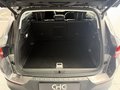 Daumennagel 37 - Opel Grandland Ultimate Plug-in-Hybrid 4 AHK|SHZ|180°I|ALLRAD|CARPLAY|SPUR|NAVI