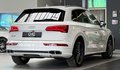 Daumennagel 7 - Audi SQ5 3.0 TDI quattro STHZ|AHK|360 |HUD|ACC|CARBON|