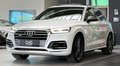 Daumennagel 3 - Audi SQ5 3.0 TDI quattro STHZ|AHK|360 |HUD|ACC|CARBON|