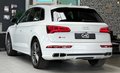 Daumennagel 5 - Audi SQ5 3.0 TDI quattro STHZ|AHK|360 |HUD|ACC|CARBON|