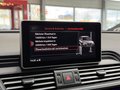 Daumennagel 29 - Audi SQ5 3.0 TDI quattro STHZ|AHK|360 |HUD|ACC|CARBON|