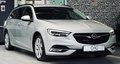 Daumennagel 1 - Opel Insignia B Sports Tourer Business Edition