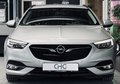 Daumennagel 2 - Opel Insignia B Sports Tourer Business Edition