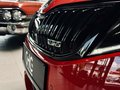 Daumennagel 7 - Skoda Octavia RS 245 |Pano|LED|ACC|DCC|CarPlay|