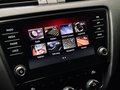 Daumennagel 38 - Skoda Octavia RS 245 |Pano|LED|ACC|DCC|CarPlay|