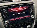 Daumennagel 40 - Skoda Octavia RS 245 |Pano|LED|ACC|DCC|CarPlay|