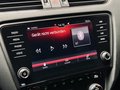 Daumennagel 43 - Skoda Octavia RS 245 |Pano|LED|ACC|DCC|CarPlay|