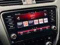 Daumennagel 44 - Skoda Octavia RS 245 |Pano|LED|ACC|DCC|CarPlay|
