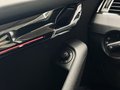 Daumennagel 50 - Skoda Octavia RS 245 |Pano|LED|ACC|DCC|CarPlay|