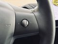 Daumennagel 16 - Tesla Model 3 Long Range Dual AWD AHK