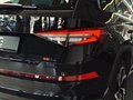 Daumennagel 10 - Skoda Kodiaq RS 4x4 |7-Sitzer|ACC|Pano|SHZ|Kamera|