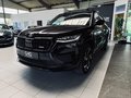 Daumennagel 7 - Skoda Kodiaq RS 4x4 |7-Sitzer|ACC|Pano|SHZ|Kamera|