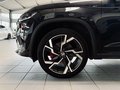 Daumennagel 13 - Skoda Kodiaq RS 4x4 |7-Sitzer|ACC|Pano|SHZ|Kamera|