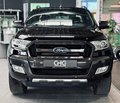 Daumennagel 2 - Ford Ranger Wildtrak Doppelkabine 4x4 3.2 TDCI |Off-Road-Paket|