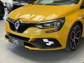 Daumennagel 7 - Renault Megane IV R.S. Trophy |HUD|SHZ|Kamera|LED|BOSE|