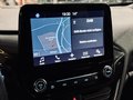 Daumennagel 24 - Ford Fiesta ST-Line Automatik|Bang & Olufsen|SHZ|LED|