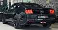 Daumennagel 5 - Ford Mustang Bullitt 1.HD|MagneRide|ACC|D-FZG|