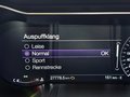 Daumennagel 21 - Ford Mustang Bullitt 1.HD|MagneRide|ACC|D-FZG|