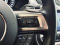 Daumennagel 18 - Ford Mustang Bullitt 1.HD|MagneRide|ACC|D-FZG|