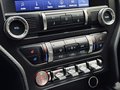 Daumennagel 26 - Ford Mustang Bullitt 1.HD|MagneRide|ACC|D-FZG|