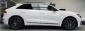 Daumennagel 4 - Audi Q8 55 TFSI quattro S-Line Plus 360 |VOLL