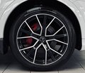 Daumennagel 39 - Audi Q8 55 TFSI quattro S-Line Plus 360 |VOLL