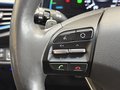 Daumennagel 22 - Hyundai IONIQ Style Hybrid|AHK|KAMERA|NAVI|SHZ|ASSISTENZ+