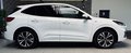 Daumennagel 4 - Ford Kuga ST-Line X |HUD|LED|Kamera|ACC|