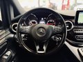 Daumennagel 18 - Mercedes-Benz V 250 d kompakt 4Matic Avantgarde Edition |AHK|