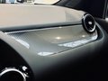 Daumennagel 22 - Mercedes-Benz B 250 AMG Line |LED|SHZ|Kamera|Carbon|