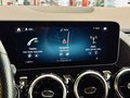 Daumennagel 32 - Mercedes-Benz B 250 AMG Line |LED|SHZ|Kamera|Carbon|