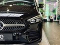 Daumennagel 13 - Mercedes-Benz B 250 AMG Line |LED|SHZ|Kamera|Carbon|