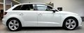 Daumennagel 4 - Audi A3 Sportback Ambition XENON|SHZ|PANO|NAVIEPHILFE