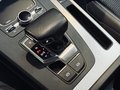 Daumennagel 29 - Audi Q5 55 TFSI e quattro sport S-Line Plus|AHK|MATRIX|HUP