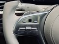 Daumennagel 26 - Mercedes-Benz S 560 MAYBACH FIRST CLASS|BURMESTER HIGH|FULL
