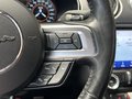 Daumennagel 37 - Ford Mustang GT Fastback 1.Hand|Deutsch|MagneRide|