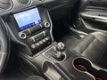 Daumennagel 25 - Ford Mustang GT Fastback 1.Hand|Deutsch|MagneRide|