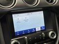 Daumennagel 28 - Ford Mustang GT Fastback 1.Hand|Deutsch|MagneRide|
