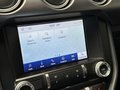 Daumennagel 29 - Ford Mustang GT Fastback 1.Hand|Deutsch|MagneRide|