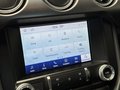Daumennagel 31 - Ford Mustang GT Fastback 1.Hand|Deutsch|MagneRide|