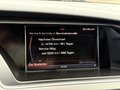Daumennagel 19 - Audi A5 Coupe 3.0 TDI|S-line|LED|SHZ|NAVI|PDC|TEMP.
