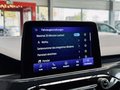 Daumennagel 24 - Ford Kuga ST-Line AWD|PANO|AHK|SHZ|LKRDHZ|