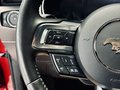 Daumennagel 24 - Ford Mustang GT Fastback MagneRide|1.HD|BANG&OLUFSEN