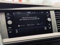 Daumennagel 29 - Volkswagen T6.1 Transporter Kasten 4MOTION |STHZ|Carplay|SHZ|LED|