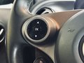 Daumennagel 16 - smart fortwo coupe Prime Grey Matt|JBLPANO||SHZ|TEMP.|