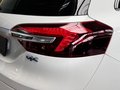 Daumennagel 37 - Opel Insignia OPC 2.8 V6 Turbo 4x4 PANO|KAMERA|