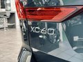 Daumennagel 45 - Volvo XC60 R Design AWD |LED|AHK|SHZ|Standheizung|H&K|
