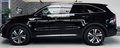 Daumennagel 8 - Kia Sorento Spirit 4WD 7-SITZER|360 |ACC+TW|NAVI|SHZ+LK